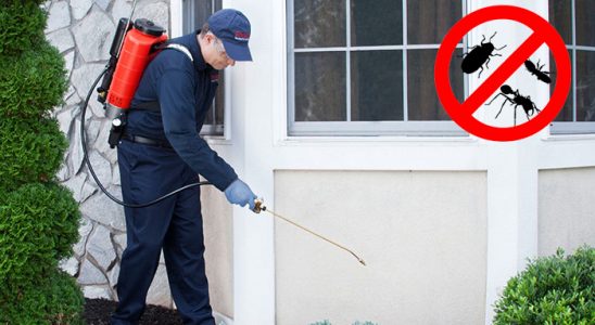 İmranlı Fare İlaçlama böcek ilaçlama ve haşere kontrolü — ilaclama-tr.com